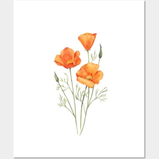 Watercolor California poppies Posters and Art